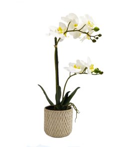 Orchidea phalaenopsis artificiale bianco in vaso scanalato h56