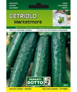 Cetriolo marketmore