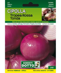Cipolla tropea rossa tonda